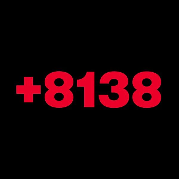 +8138 Vinyl Record