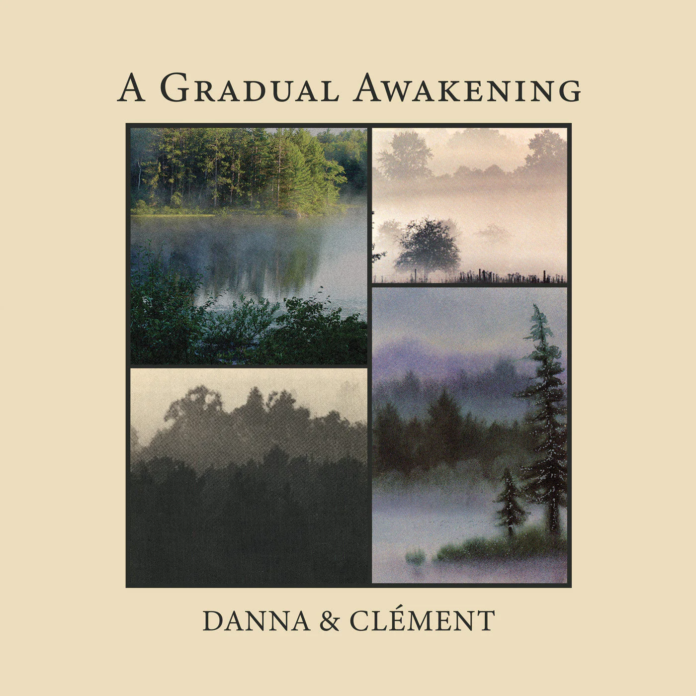 A Gradual Awakening  Vinyl Record