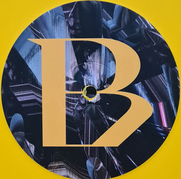 Alterity Vinyl Record - Image 5