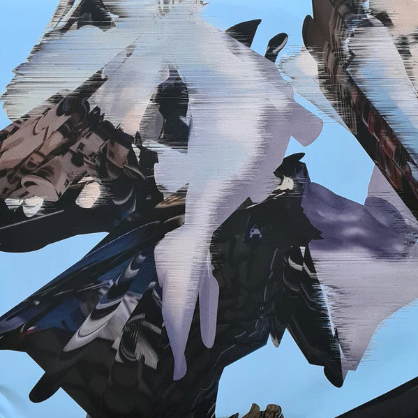 Alterity Vinyl Record - Image 9