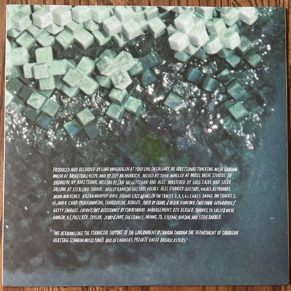 Alvvays (ORANGE VINYL) Vinyl Record - Image 5