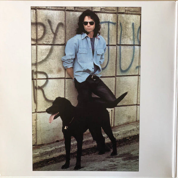 An American Prayer - Music By The Doors Vinyl Record - Image 3