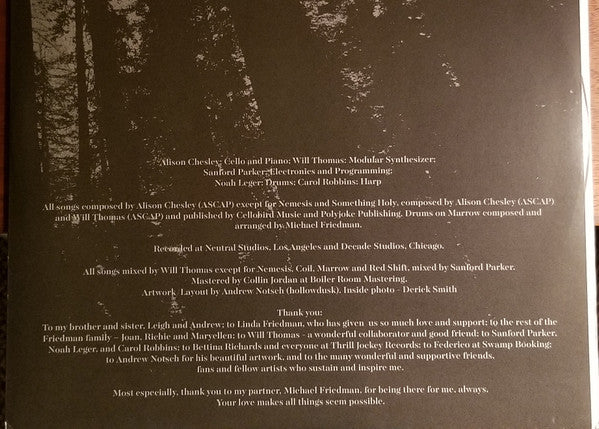 Atomic Vinyl Record - Image 4
