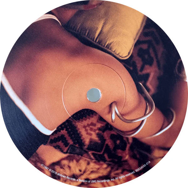 Baduizm Vinyl Record - Image 6