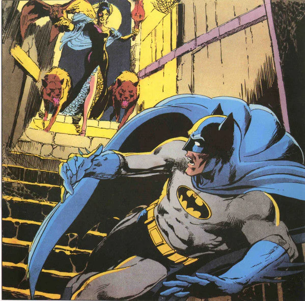 Batman And Robin Vinyl Record - Image 3