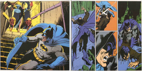 Batman And Robin Vinyl Record - Image 9