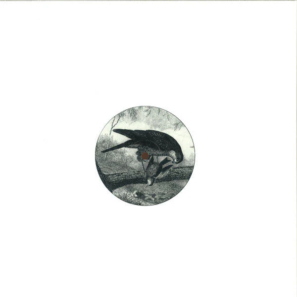 Bird Of Prey Vinyl Record - Image 2