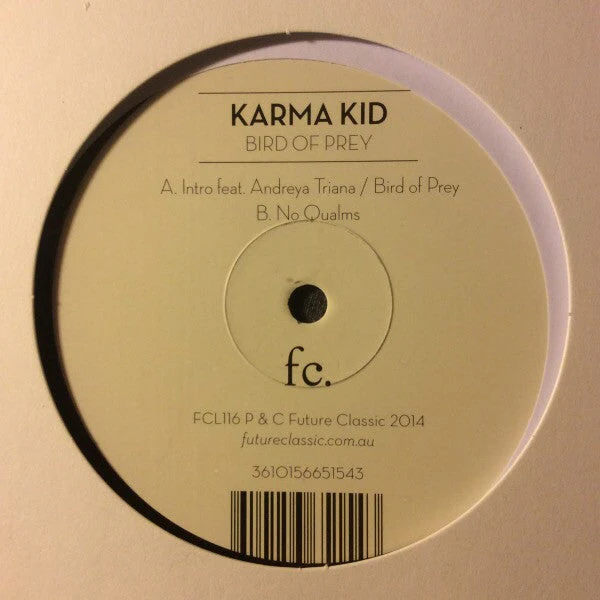 Bird Of Prey Vinyl Record - Image 3