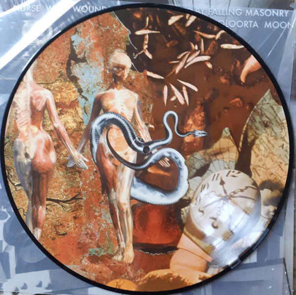 Brained By Falling Masonry / Cooloorta Moon *PICTURE* Vinyl Record - Image 4