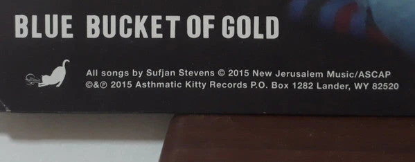 Carrie & Lowell Vinyl Record - Image 10