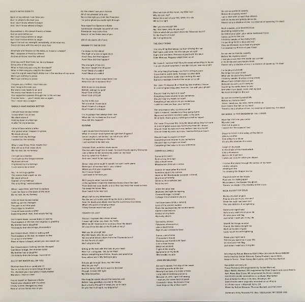 Carrie & Lowell Vinyl Record - Image 6