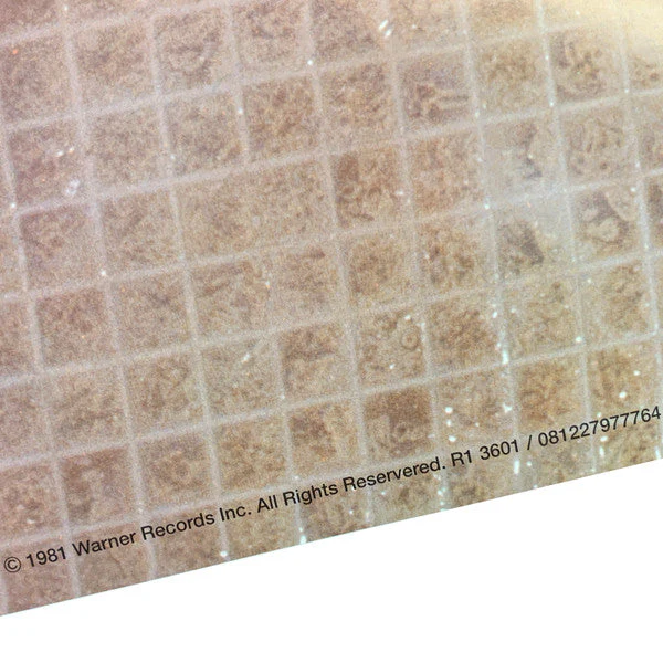 Controversy (OPENED-NEW) Vinyl Record - Image 6