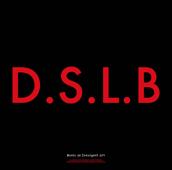 D.S.L.B. Vinyl Record - Image 2