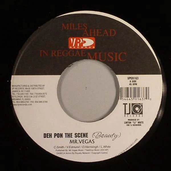 Deh Pon The Scene / Shot A Buss Generic Vinyl Record