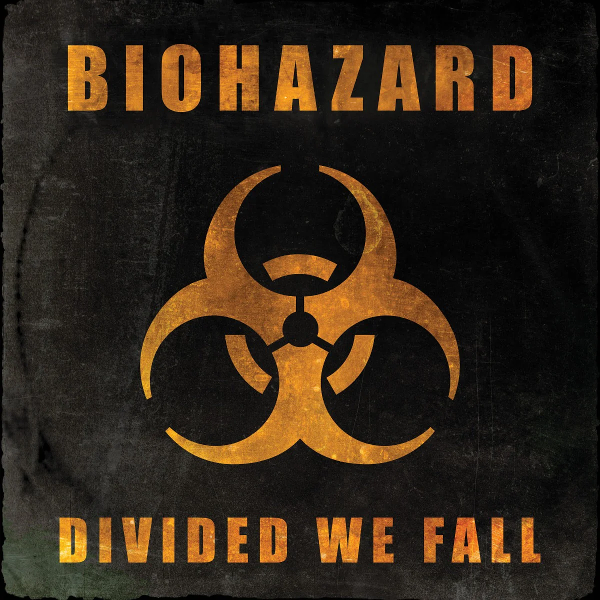 Divided We Fall (Black Vinyl) Vinyl Record