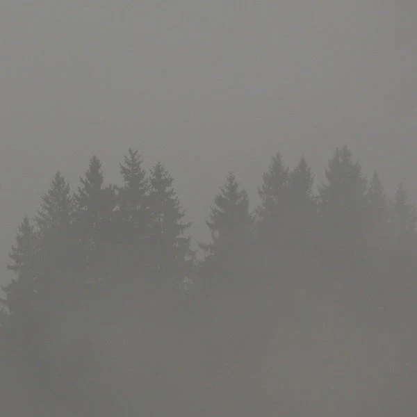 Donnerwetter Vinyl Record