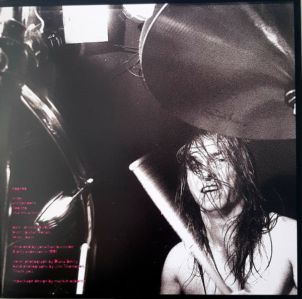Eggnog Vinyl Record - Image 4