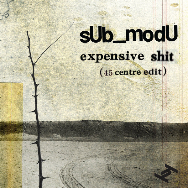 Expensive Shit (45 centre edit) Vinyl Record