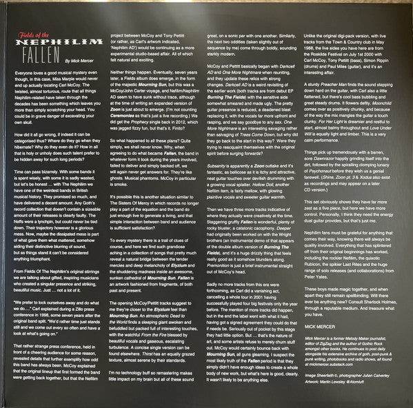 Fallen Vinyl Record - Image 3