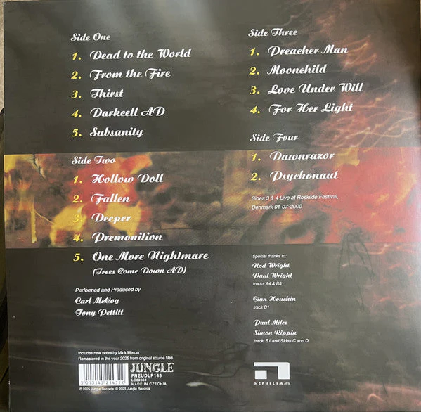 Fallen Vinyl Record - Image 4