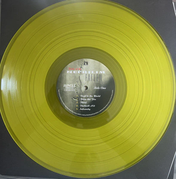 Fallen Vinyl Record - Image 6