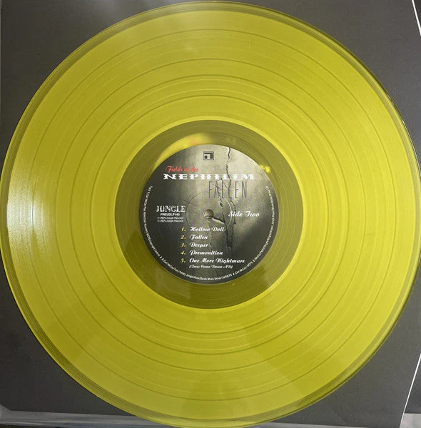 Fallen Vinyl Record - Image 7