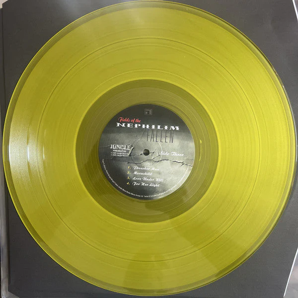 Fallen Vinyl Record - Image 8