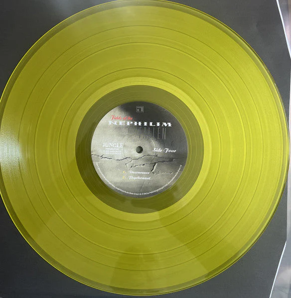 Fallen Vinyl Record - Image 9