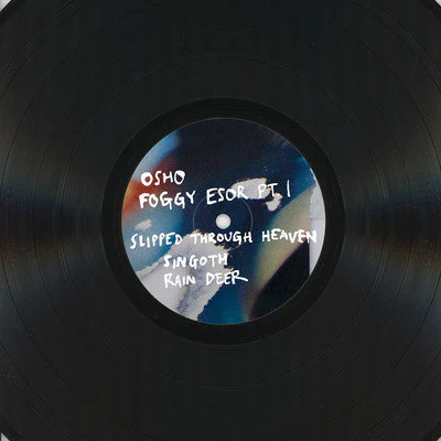 Felder Vinyl Record - Image 4