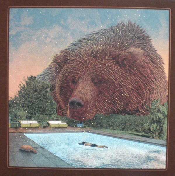 Fever Dreams Vinyl Record - Image 4