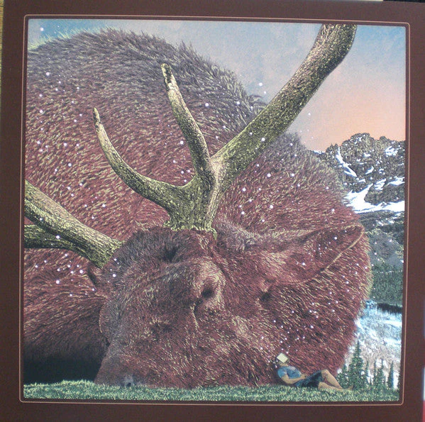 Fever Dreams Vinyl Record - Image 6