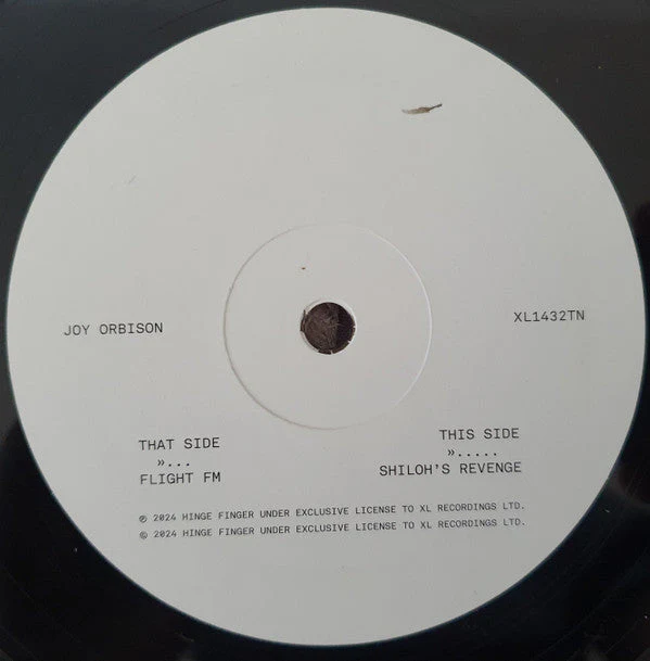 Flight FM Vinyl Record - Image 2