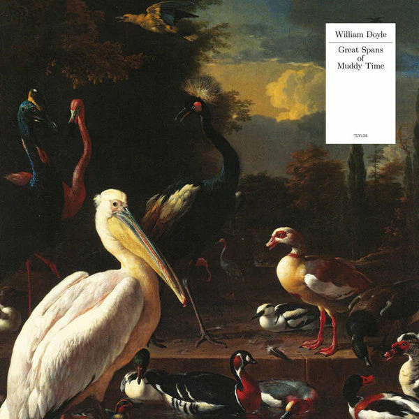 Great Spans Of Muddy Time Vinyl Record