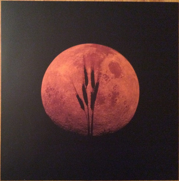 Harvest Moon Vinyl Record - Image 10