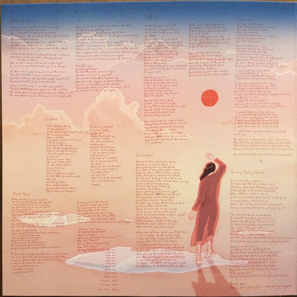 Home Video Vinyl Record - Image 2