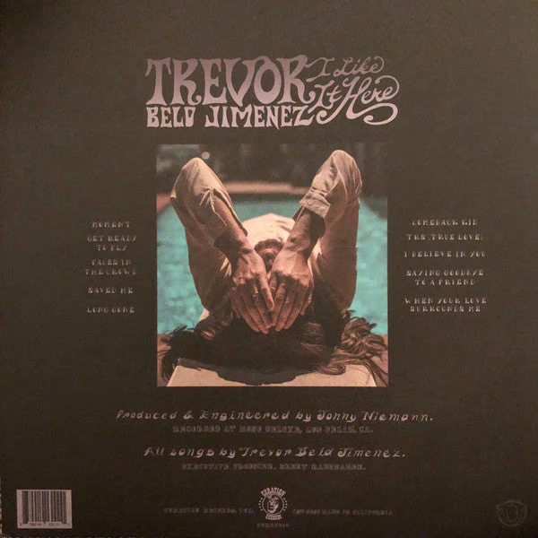 I Like It Here Vinyl Record - Image 3