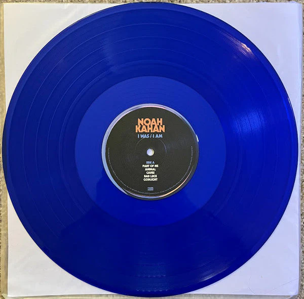 I Was / I Am Vinyl Record - Image 4