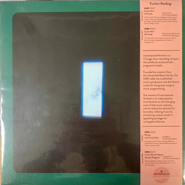 (I'm just) Chillin', on Fire (2LP) Vinyl Record - Image 2