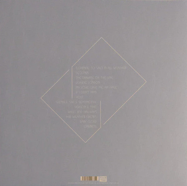 In All Weather Vinyl Record - Image 2