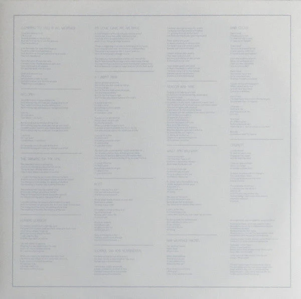 In All Weather Vinyl Record - Image 4
