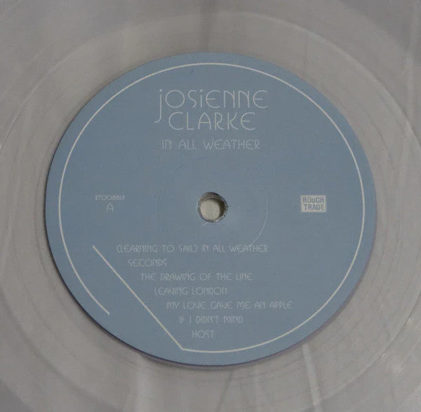 In All Weather Vinyl Record - Image 5
