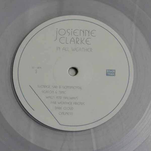 In All Weather Vinyl Record - Image 6