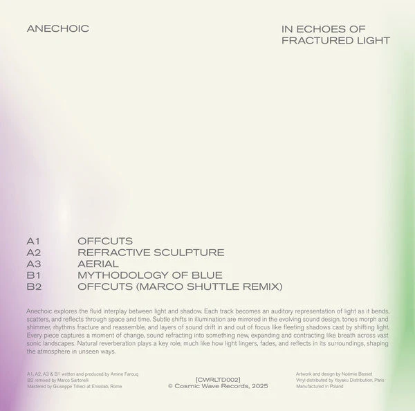 In Echoes Of Fractured Light Vinyl Record - Image 2