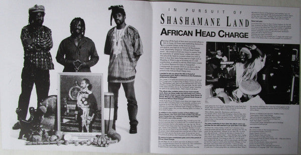 In Pursuit Of Shashamane Land Vinyl Record - Image 9