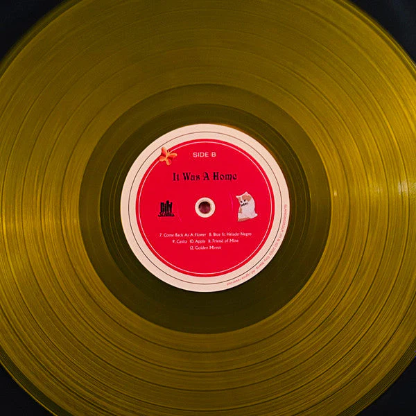It Was A Home (VMP VINYL) Vinyl Record - Image 4