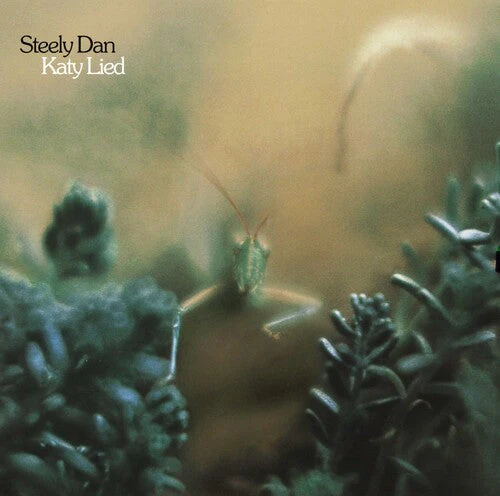 Katy Lied (180 Gram Vinyl) Vinyl Record - Image 2