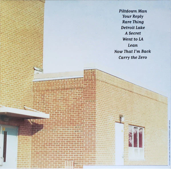 Likewise Vinyl Record - Image 2