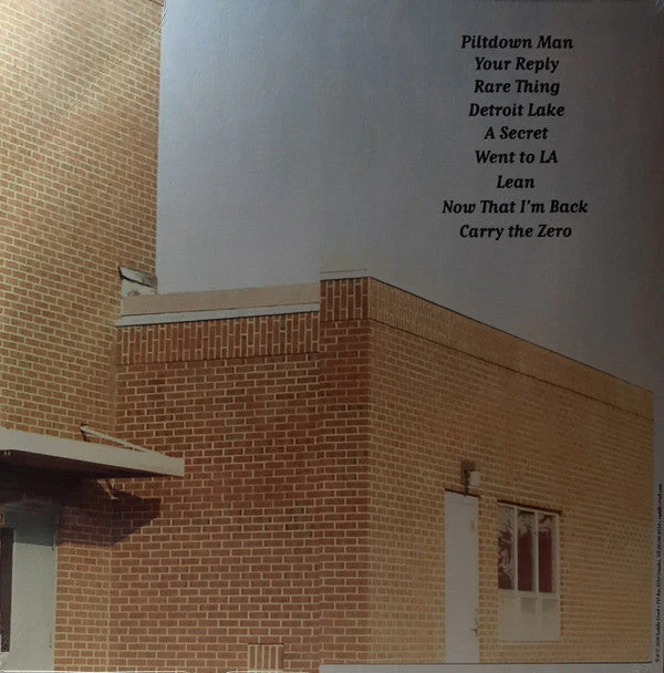 Likewise Vinyl Record - Image 7