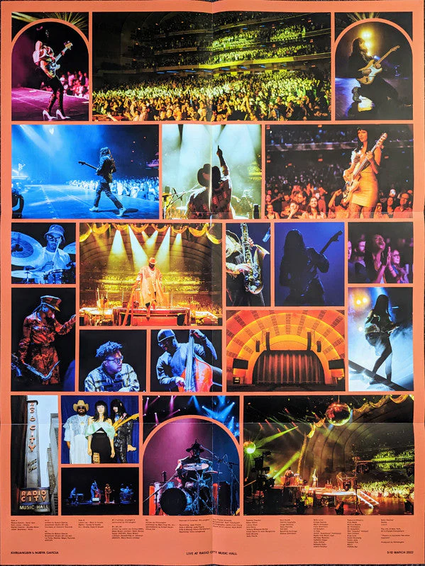 Live At Radio City Music Hall Vinyl Record - Image 11