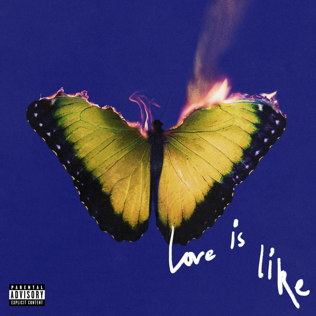 Love Is Like (Yellow Marble VINYL) Vinyl Record - Image 2
